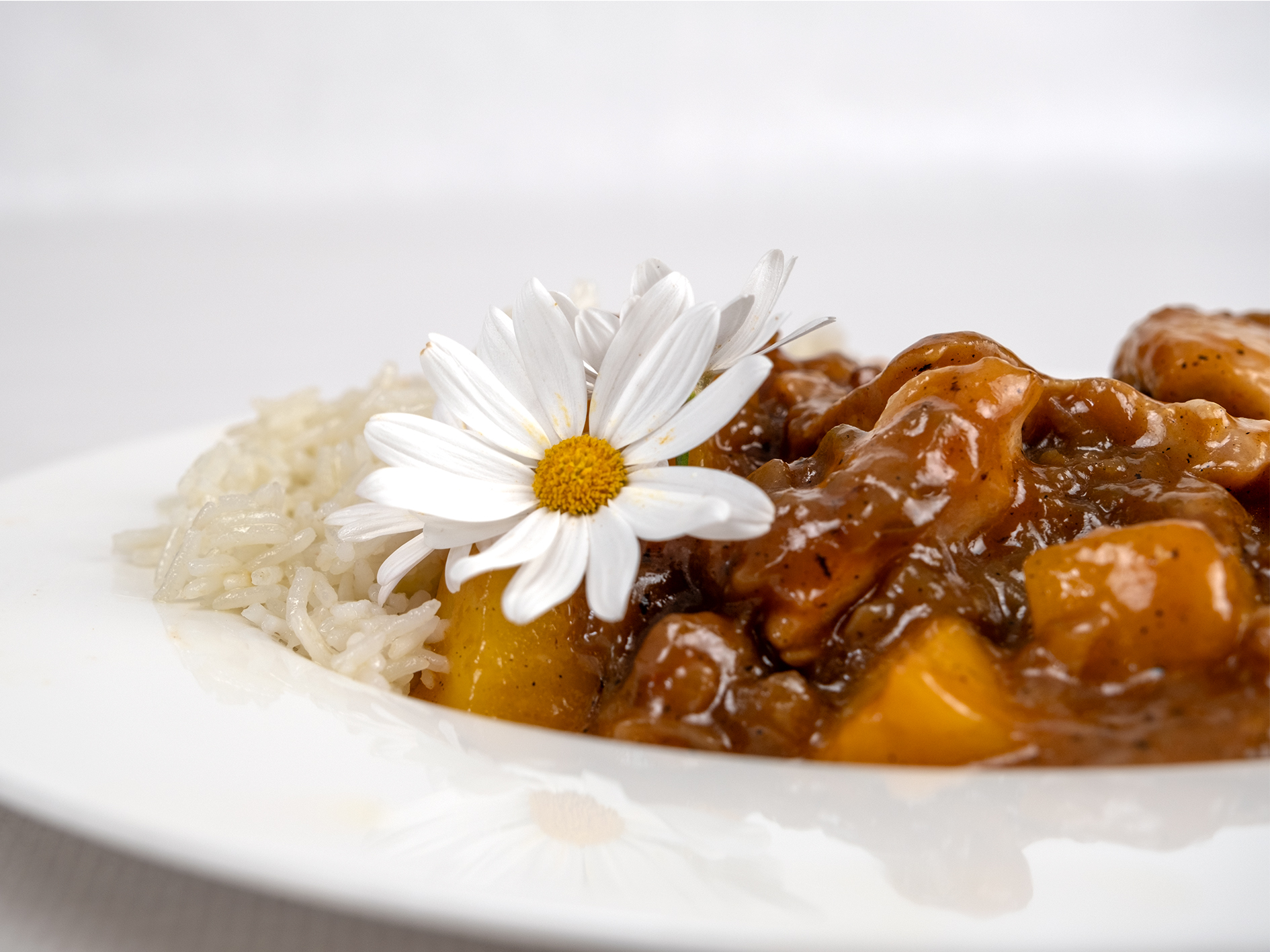 El plat únic El plat únic